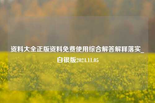 资料大全正版资料免费使用综合解答解释落实_白银版2024.11.05-第1张图片-陕西军卫安保服务公司