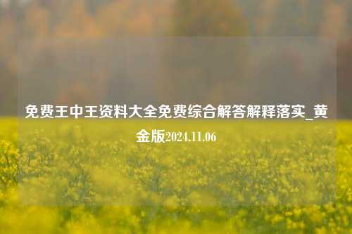 免费王中王资料大全免费综合解答解释落实_黄金版2024.11.06-第1张图片-陕西军卫安保服务公司