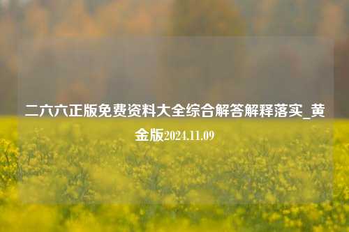 二六六正版免费资料大全综合解答解释落实_黄金版2024.11.09-第1张图片-陕西军卫安保服务公司