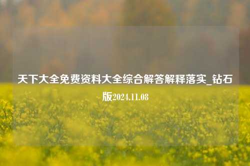 天下大全免费资料大全综合解答解释落实_钻石版2024.11.08-第1张图片-陕西军卫安保服务公司