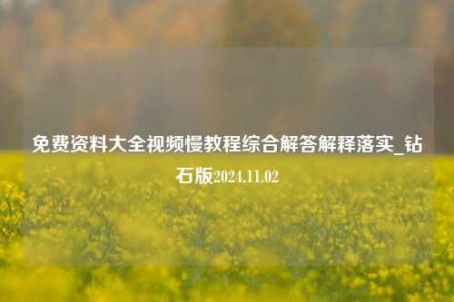 免费资料大全视频慢教程综合解答解释落实_钻石版2024.11.02-第1张图片-陕西军卫安保服务公司