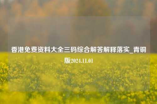 香港免费资料大全三码综合解答解释落实_青铜版2024.11.01-第1张图片-陕西军卫安保服务公司