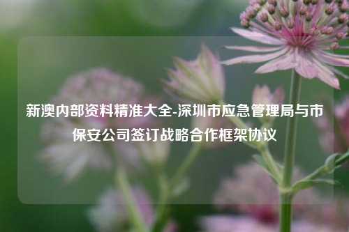 新澳内部资料精准大全-深圳市应急管理局与市保安公司签订战略合作框架协议-第1张图片-陕西军卫安保服务公司