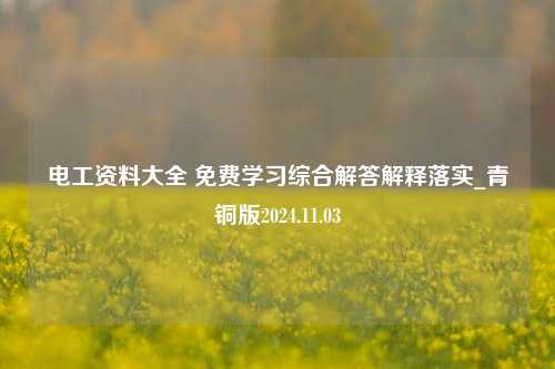 电工资料大全 免费学习综合解答解释落实_青铜版2024.11.03-第1张图片-陕西军卫安保服务公司