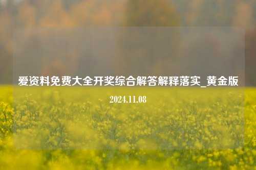 爱资料免费大全开奖综合解答解释落实_黄金版2024.11.08-第1张图片-陕西军卫安保服务公司