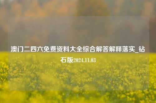 澳门二四六免费资料大全综合解答解释落实_钻石版2024.11.03-第1张图片-陕西军卫安保服务公司