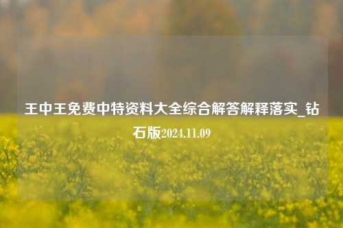 王中王免费中特资料大全综合解答解释落实_钻石版2024.11.09-第1张图片-陕西军卫安保服务公司