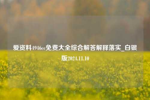 爱资料4946cc免费大全综合解答解释落实_白银版2024.11.10-第1张图片-陕西军卫安保服务公司