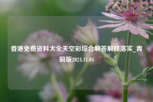 香港免费资料大全天空彩综合解答解释落实_青铜版2024.11.04-第1张图片-陕西军卫安保服务公司