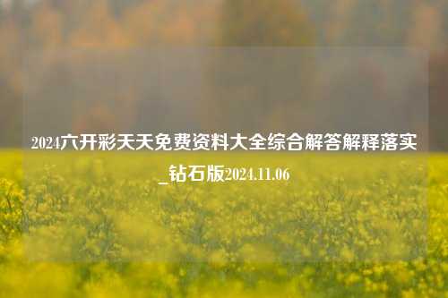 2024六开彩天天免费资料大全综合解答解释落实_钻石版2024.11.06-第1张图片-陕西军卫安保服务公司