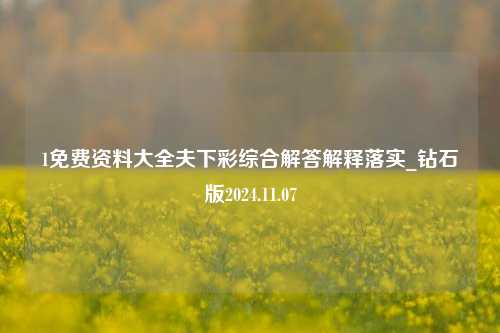 1免费资料大全夫下彩综合解答解释落实_钻石版2024.11.07-第1张图片-陕西军卫安保服务公司