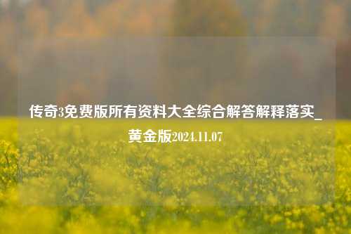 传奇3免费版所有资料大全综合解答解释落实_黄金版2024.11.07-第1张图片-陕西军卫安保服务公司