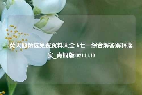 黄大仙精选免费资料大全 h七一综合解答解释落实_青铜版2024.11.10-第1张图片-陕西军卫安保服务公司