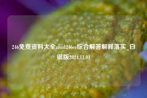 246免费资料大全zmzl246cc综合解答解释落实_白银版2024.11.01-第1张图片-陕西军卫安保服务公司