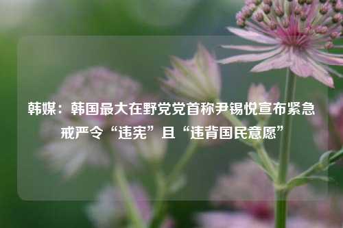 韩媒：韩国最大在野党党首称尹锡悦宣布紧急戒严令“违宪”且“违背国民意愿”-第1张图片-陕西军卫安保服务公司