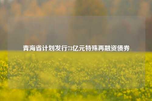 青海省计划发行73亿元特殊再融资债券-第1张图片-陕西军卫安保服务公司