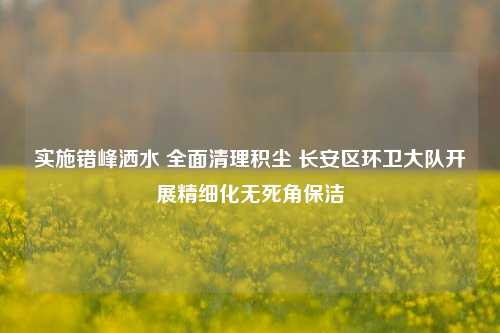 实施错峰洒水 全面清理积尘 长安区环卫大队开展精细化无死角保洁-第1张图片-陕西军卫安保服务公司