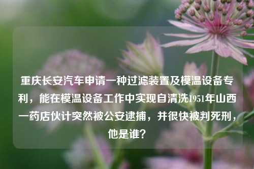 重庆长安汽车申请一种过滤装置及模温设备专利，能在模温设备工作中实现自清洗1951年山西一药店伙计突然被公安逮捕，并很快被判死刑，他是谁？-第1张图片-陕西军卫安保服务公司