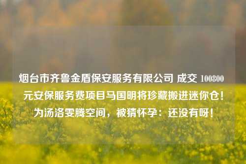 烟台市齐鲁金盾保安服务有限公司 成交 100800 元安保服务费项目马国明将珍藏搬进迷你仓！为汤洛雯腾空间，被猜怀孕：还没有呀！-第1张图片-陕西军卫安保服务公司