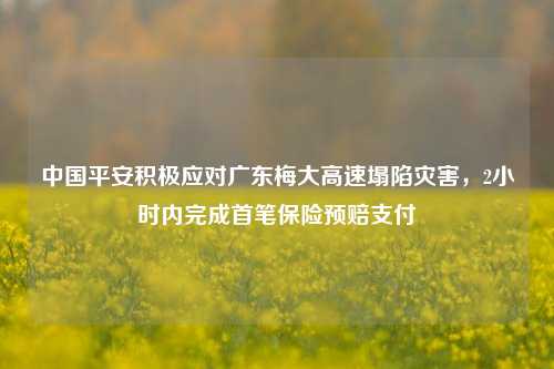 中国平安积极应对广东梅大高速塌陷灾害，2小时内完成首笔保险预赔支付-第1张图片-陕西军卫安保服务公司