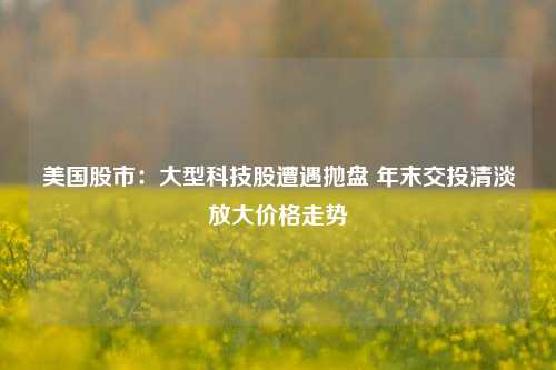 美国股市：大型科技股遭遇抛盘 年末交投清淡放大价格走势