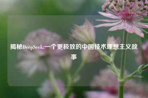 揭秘DeepSeek:一个更极致的中国技术理想主义故事