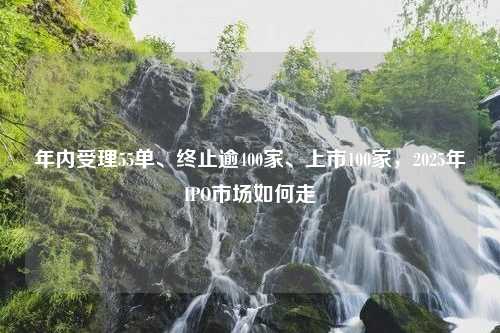 年内受理55单、终止逾400家、上市100家，2025年IPO市场如何走