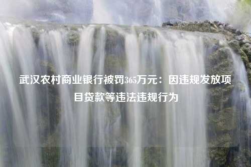 武汉农村商业银行被罚365万元：因违规发放项目贷款等违法违规行为