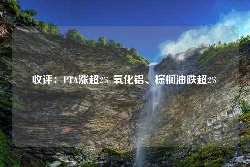 收评：PTA涨超2% 氧化铝、棕榈油跌超2%