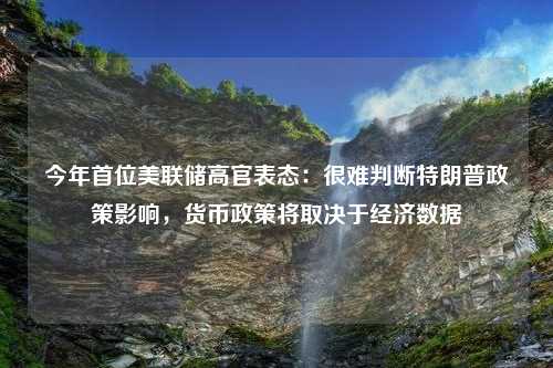 今年首位美联储高官表态：很难判断特朗普政策影响，货币政策将取决于经济数据