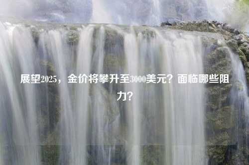 展望2025，金价将攀升至3000美元？面临哪些阻力？