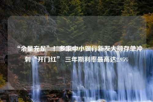 “余量充足”！多家中小银行新发大额存单冲刺“开门红” 三年期利率最高达2.95%